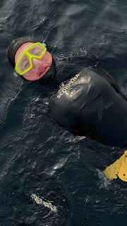 Улыбающийся фридайвер в маске плавает на поверхности воды, видно лицо сквозь маску и спокойная водная среда вокруг.