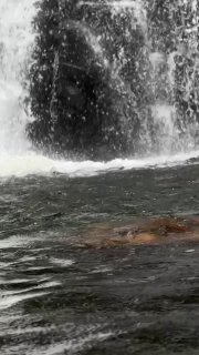 Кадр водной поверхности у потока: близкий план волн, всплесков и струй воды, акцент на текстуре, движении и контакте воды с камнями.