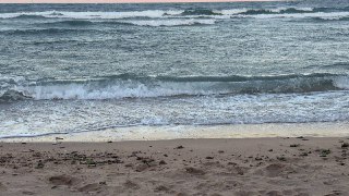 Песчаный берег и прибой: вид на морской пляж с волнами на горизонте, мокрым песком и следами мусора на переднем плане, пасмурно.