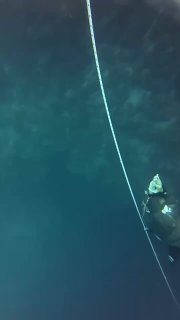 Вид сверху на фридайвера рядом с тросом, опускающегося в глубокую синюю воронку (blue hole); вокруг вода темнеет.