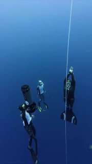 Фридайверы у натянутой контрольной верёвки в глубокой синей воде; кадр сверху иллюстрирует погружение и свободное ныряние.