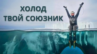 Миниатюра: фридайвер на поверхности воды с поднятыми руками, видно подводную часть; надпись «Холод — твой союзник», холодный морской фон.