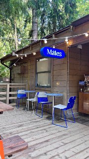 Деревянный фасад небольшого кафе с яркой синей вывеской «Mates», терраса с пустыми столиками на фоне высоких деревьев в утреннем лесу.