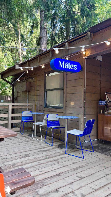 Летняя веранда кафе Mates в Мещерском лесу: деревянный настил, синие стулья и синяя вывеска заведения на фоне зелёных берёз и листвы.