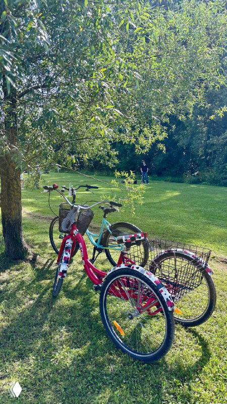 Прокатные трёхколёсные велосипеды на зелёной лужайке в Мещерском лесу: ярко-красные рамы, широкие сиденья и чувство безопасности для неспешных прогулок.