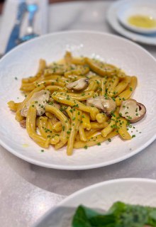 Тарелка с пастой: короткие макароны в кремовом соусе с грибами и зеленью, аккуратно сервированные на столе в ресторане.