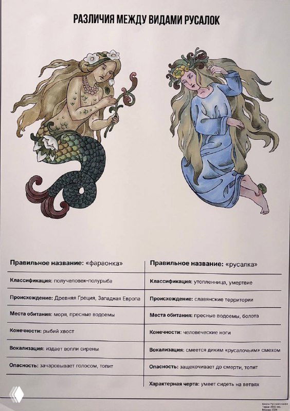 Инфографика или схема с названиями и изображениями русалок — плакат с таблицей, объясняющей различия между видами русалок.