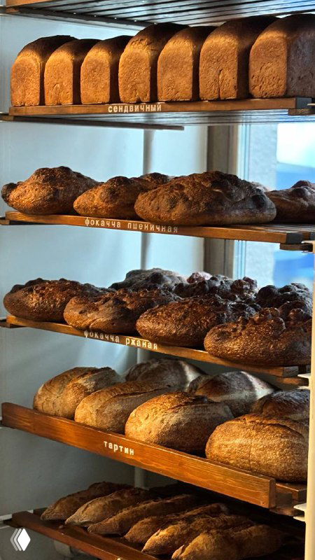 Полки с караваем и буханками хлеба в витрине пекарни, разнообразие сортов и золотистые корки, магазинная атмосфера внутри Masa Madre.