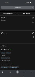 Скриншот телефона с показом итальянского слова «muro», его транскрипции и русского перевода «стена», видна адресная строка.