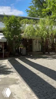 Летний дворик Yauza place: мощёная дорожка, тень от деревьев и открытая площадка у входа, вид на наружную часть заведения в солнечный день.