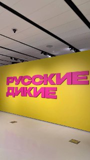 Фотография в музее: яркая жёлтая стена с крупной розовой надписью «РУССКИЕ ДИКИЕ», вид части пола и потолка выставочного зала, подчёркнутое освещение.