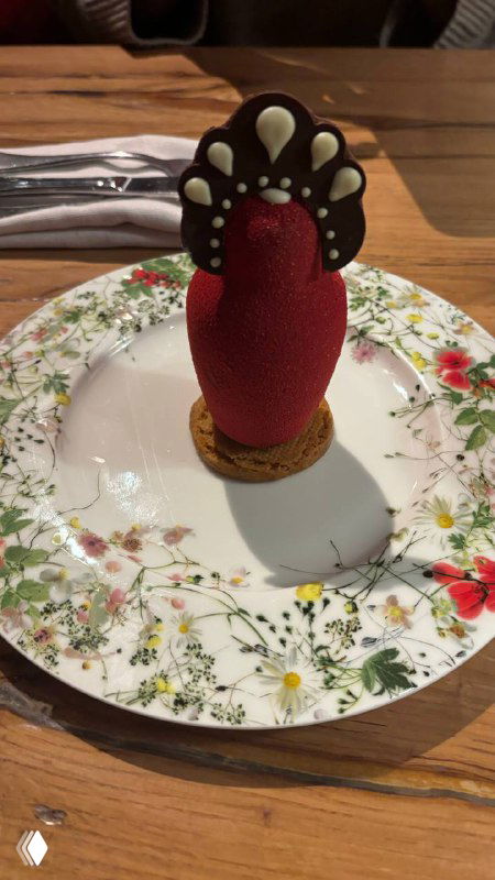 Необычный десерт в форме яркого красного элемента с шоколадной декорацией, подан на фарфоровой тарелке с цветочным рисунком.