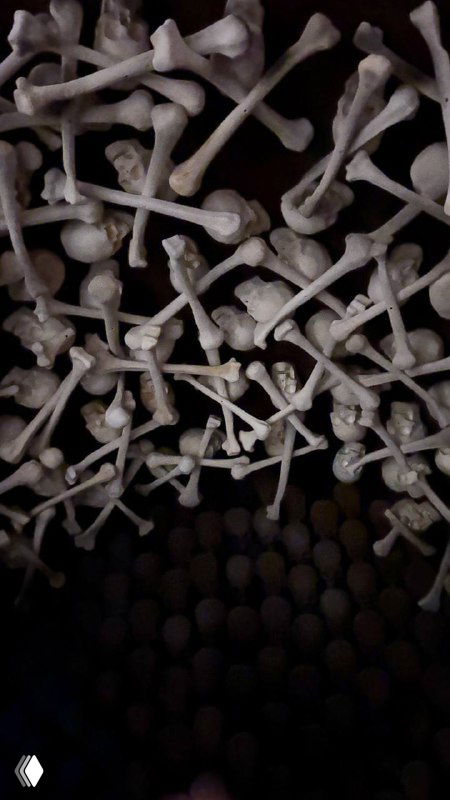 Деталь интерьера с инсталляцией из стилизованных костей или белых скульптурных элементов — необычный декоративный элемент зала