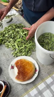 Руки сортируют и складывают ломтики стручковой фасоли в таз, рядом тарелка с домашней лепёшкой; процесс подготовки овощей к жарке.
