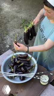 Женские руки держат длинные баклажаны в полиэтиленовых бутылках, рядом большая миска с баклажанами — подготовка овощей для жарки на углях.