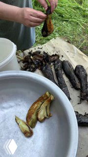 Почерневшие от огня баклажаны после запекания на костре, очищенные кожура и мякоть в миске — процесс приготовления овощной основы хороваца.