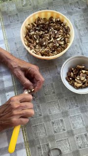 Руки очищают и перебирают кусочки грецких орехов в миске на столе с тканевой скатертью, подготовка ингредиентов.
