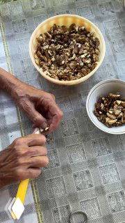 Ближайший план рук, чистка и переборка грецких орехов на столе, миски с очищенными частями и скорлупой вокруг.