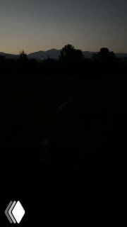 Тёмный снимок заката: силуэты деревьев и гор на горизонте, наступающая ночь и приглушённые оттенки вечера в деревне.
