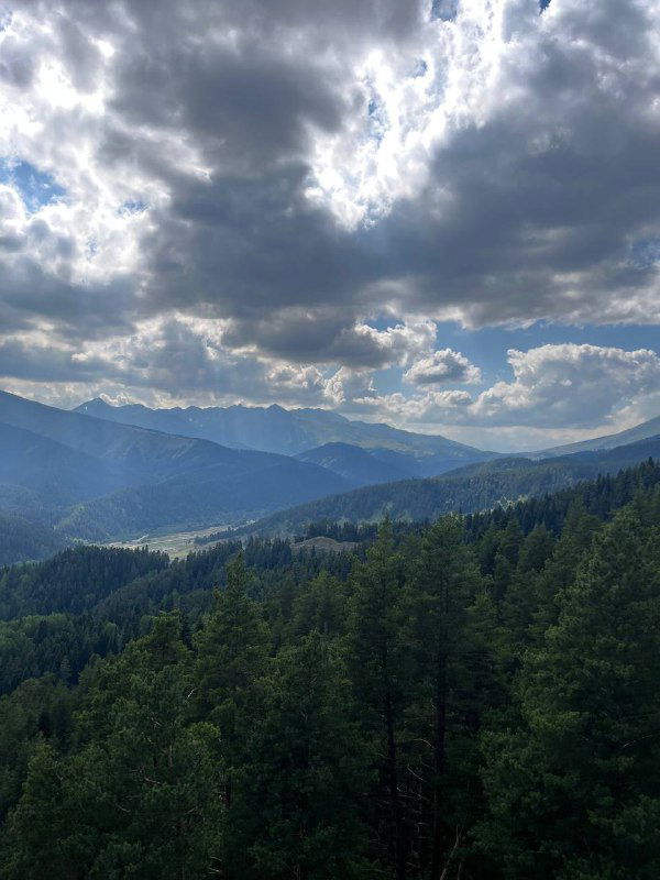 Панорамный вид горной долины Архыза с сосновыми лесами, глубокими тенями и драматичным небом с облаками над хребтами.
