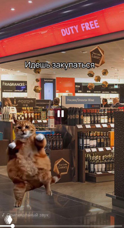 Динамичный кадр с анимированным грызуном в магазине duty free — пример обыгрывания мема в ролике таможни, юмористический визуал.
