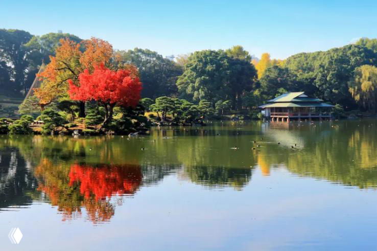 Фотография японского сада с тихим прудом и павильоном у воды: отражения осенних деревьев создают умиротворяющую атмосферу и служат референсом для проекта интерьера.