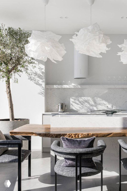 Интерьер белой кухни с барной стойкой и столешницей из карагача, высокая олива у окна, солнечный свет подчёркивает фактуру и материалы.