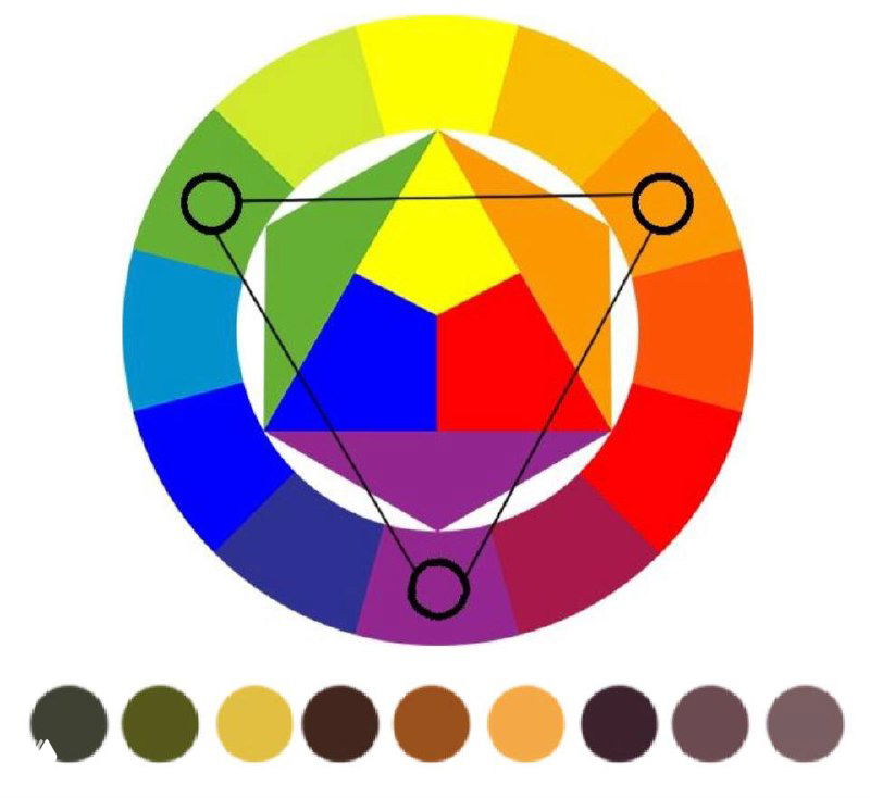 Цветовое колесо и палитра проекта с акцентами зелёных, жёлто-коричневых и тёплых тонов — основа решения интерьерной гаммы в эскизе Олеси.