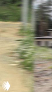 Превью видео: участок с зелёной растительностью и фрагментом дома на заднем плане, иллюстрация планировки участка.