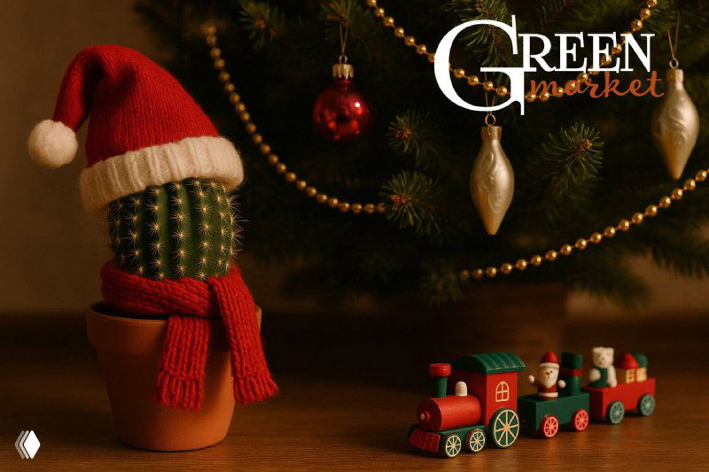 Декоративный кактус в шапке Санты на столе рядом с игрушечным поездом и новогодними украшениями; атмосферный зимний кадр афиши GreenMarket.