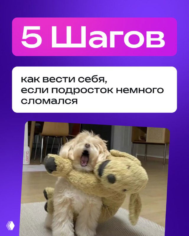 Обложка с заголовком «5 Шагов» и фотографией маленькой собаки с игрушкой, визуальная метафора поддержки и заботы для родителей подростков.