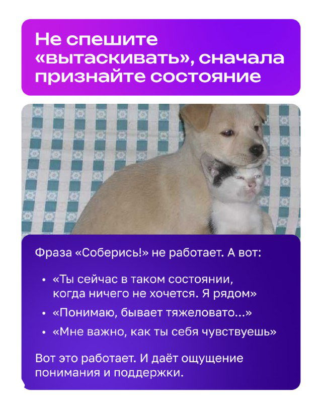 Слайд с собакой и текстом о признании состояния: иллюстрация совета не торопиться «вытаскивать», а сначала принять эмоции подростка и дать поддержку.
