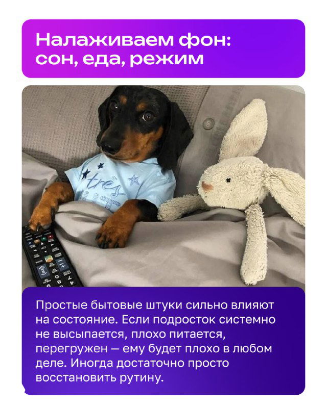Слайд с таксой на диване и советом наладить фон — сон, питание, режим — простые бытовые шаги, влияющие на состояние подростка.