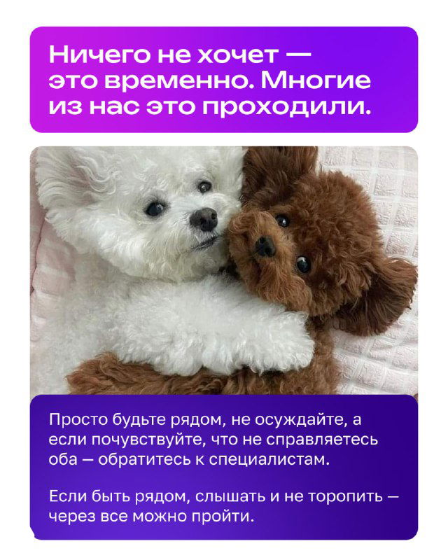 Слайд с двумя миниатюрными собачками и текстом о том, что апатия часто временная: многие проходят это, важно быть рядом и при необходимости обратиться к специалистам.