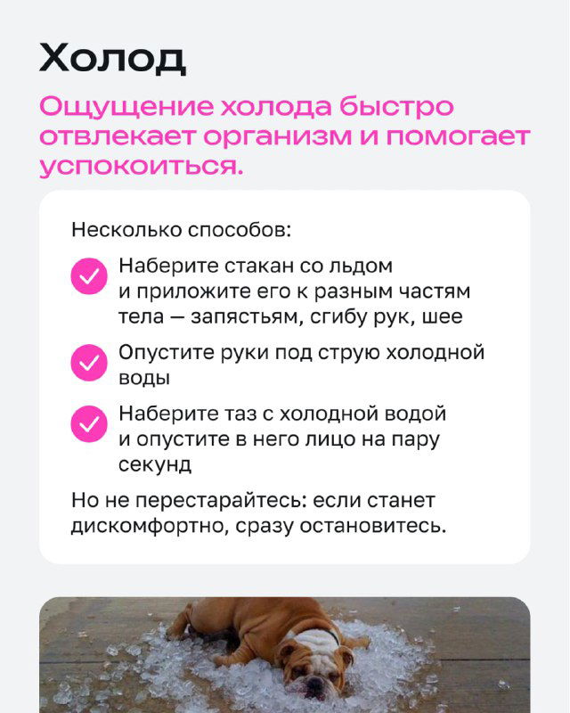 Слайд «Холод»: рекомендации набрать стакан со льдом, приложить к запястью или опустить руки в холодную воду, фото собаки и поясняющие блоки о временном отвлечении.