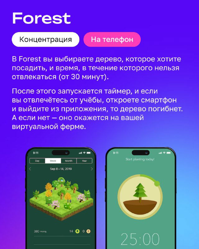Слайд с приложением Forest: объяснение механики посадки дерева и таймера, изображение дерева и интерфейса тайм‑менеджмента на фиолетовом фоне.