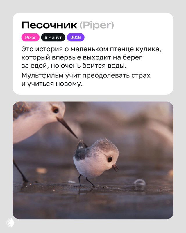 Кадр из «Песочник (Piper)»: маленький птенец на берегу моря, сцена о преодолении страха воды и первых шагах к самостоятельности.