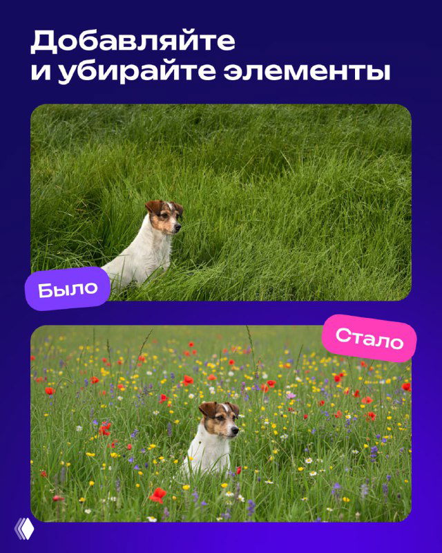 Добавление и удаление элементов: до/после — собака на зелёной лужайке и тот же кадр с цветущим полем; пример аккуратного встраивания объектов и редактирования фона.