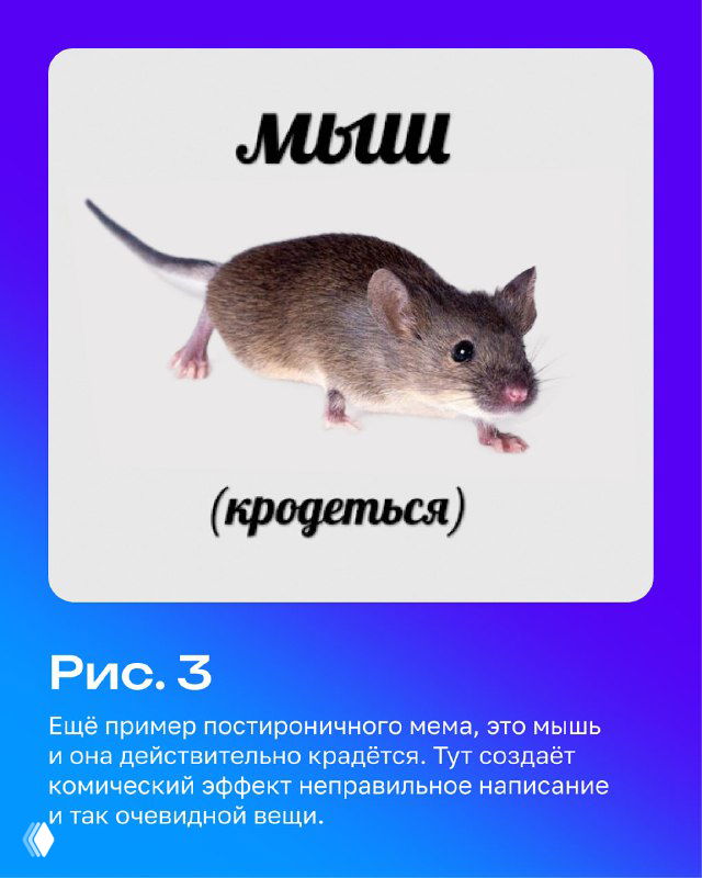 Изображение мыши с подписью «(кродется)» в стиле постироничного мема — пример неверного написания и абсурдного эффекта, вызывающего смех.