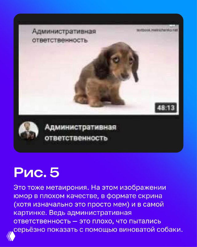Скриншот превью видео с грустной собакой и заголовком «Административная ответственность», пример мемов в формате скрина и метаиронии.