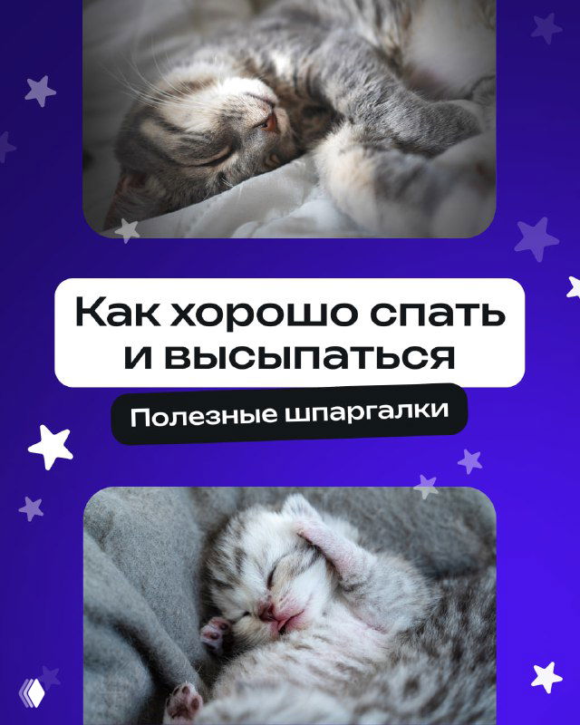 Крупный план спящего котёнка на тёплом покрывале — иллюстрация спокойного, глубокого сна и темы поста о гигиене сна.