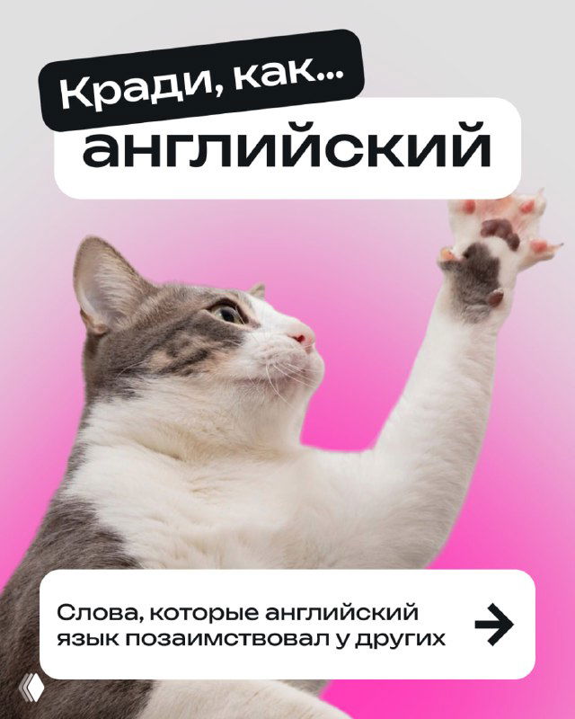 Крупный план кошки на розовом фоне, лапа поднята вверх; стилизованная карточка иллюстрации к посту об английских заимствованиях