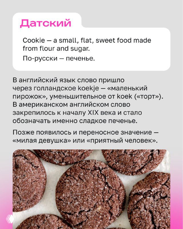 Фотография шоколадного печенья крупным планом на тарелке; иллюстрация карточки о слове cookie и его заимствовании в английском