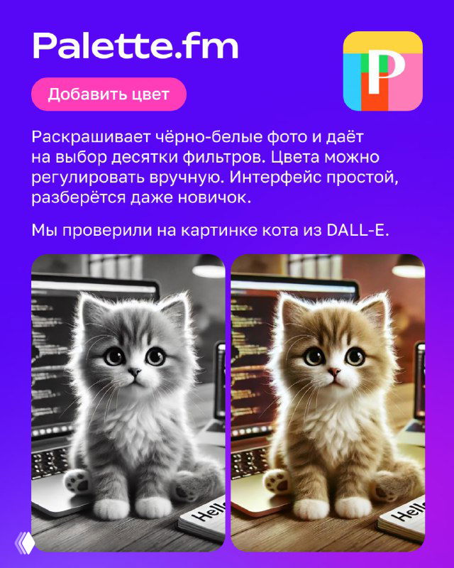 Инфопанель о Palette.fm: пример раскрашивания чёрно‑белого фото кота в цветное, показаны «до» и «после», подсказки по выбору цветов и фильтров.