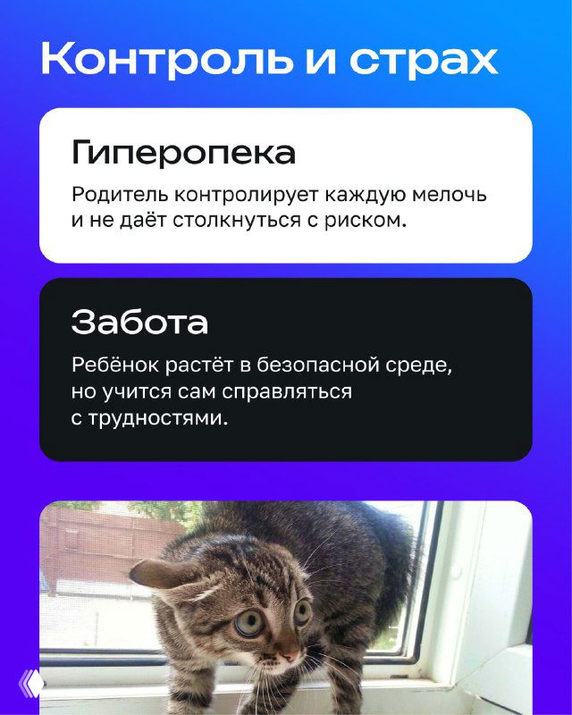 Слайд «Контроль и страх»: объяснение, как излишний контроль мешает столкнуться с риском; фото котёнка у окна подчёркивает тему наблюдения