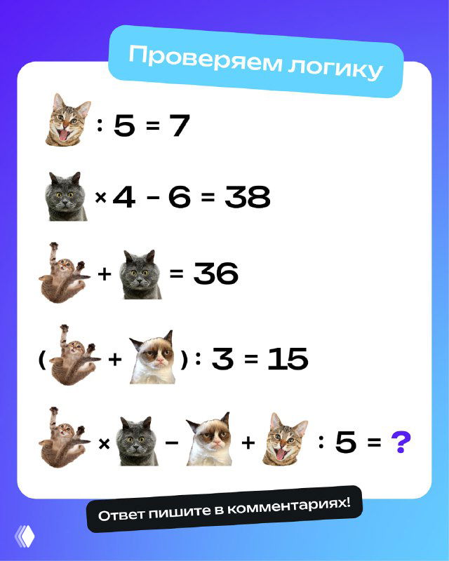 Карточка с задачей на логику: несколько изображений животных (кошки, собака) рядом с уравнениями, каждой иконке соответствует число для вычисления.