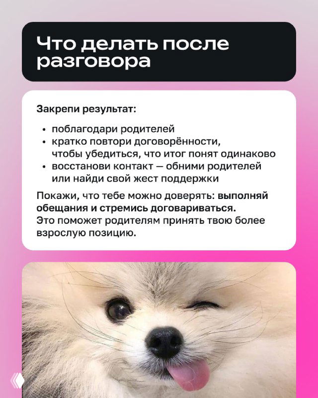 Слайд «Что делать после разговора» с шагами по закреплению результата и восстановлению контакта; изображена улыбающаяся собачка как символ примирения.