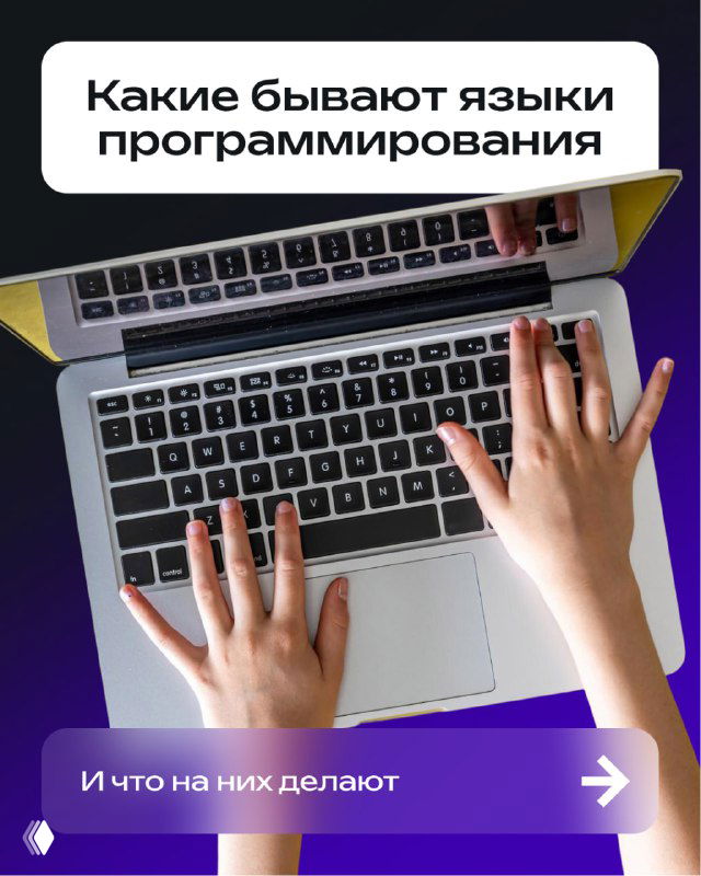 Вид сверху: руки печатают на ноутбуке; в кадре заголовок «Какие бывают языки программирования» на фиолетовом фоне, обложка инфографики.