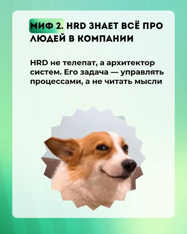Слайд с крупным портретом корги на фоне рамки; подпись о мифе, дизайн в едином стиле карточек для публикации HR‑SREDA на зелёном фоне.
