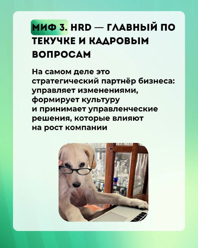 Слайд с изображением собаки в очках за столом, иллюстрирующий миф про кадровую текучку; оформлен в зелёной карточке с текстовым блоком.